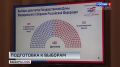 В Петербурге за выборами будут следить около 20 международных наблюдателей от стран СНГ