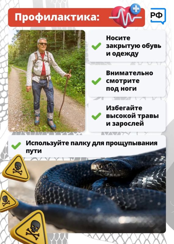 В Ленобласти сезон «тихой охоты» в самом в разгаре В Ленобласти сезон «тихой охоты» в самом в разгаре