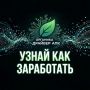 Органика — драйвер АПК. Узнайте, как на этом заработать!