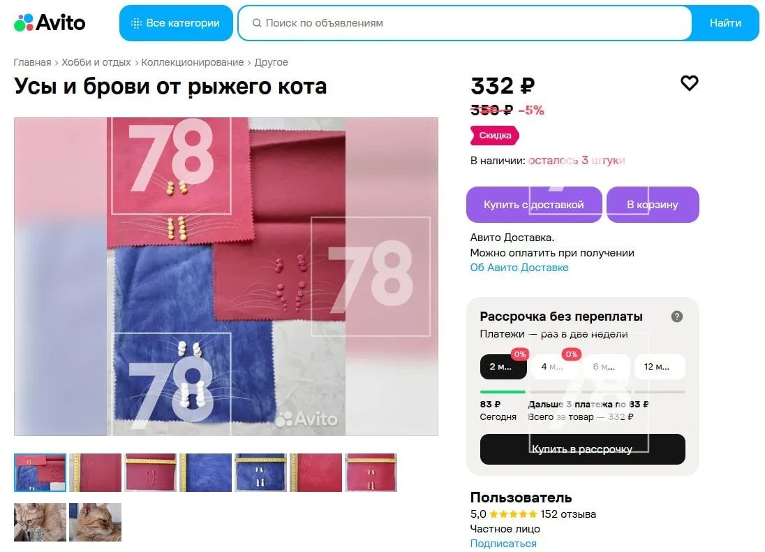 «Магический след»: породистые кошки исчезают во Всеволожском районе «Магический след»: породистые кошки исчезают во Всеволожском районе