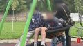 В Гатчинском районе установлены двое участников инцидента на детской площадке