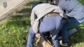 ��� ���������� � 18 ����� ������� ������� ������������ � ���������� ��������� �����������