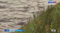 В Петербурге и Ленобласти желтый уровень погодной опасности из-за сильных дождей