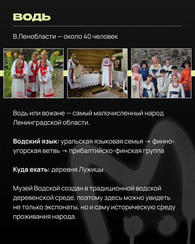 Вепсы, ижоры и водь — слышали о таких? Если нет, рассказываем: это три коренных народа Ленобласти, которые до сих пор сохраняют свой язык, культуру и традиции Вепсы, ижоры и водь — слышали о таких? Если нет, рассказываем: это три коренных народа Ленобласти, которые до сих пор сохраняют свой язык, культуру и традиции