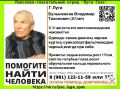 87-летнего пенсионера две недели ищут в Лужском районе Ленобласти