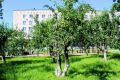 В Ленобласти благоустраивают «Яблоневые сады»