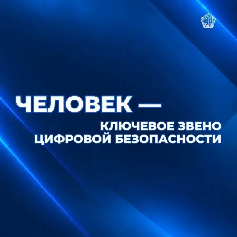 Цифровая грамотность — навык, который нужен каждому Цифровая грамотность — навык, который нужен каждому