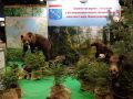 Сегодня открылась юбилейная выставка «АГРОРУСЬ-2026»! С 16 по 18 сентября в конгрессно-выставочном центре «Экспофорум» проходит 35-я Международная агропромышленная выставка «АГРОРУСЬ»