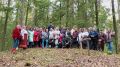 Вместо сцены — лес, вместо зала — вершина: на высшей точке Ленинградской области прошёл III музыкально-поэтический концерт