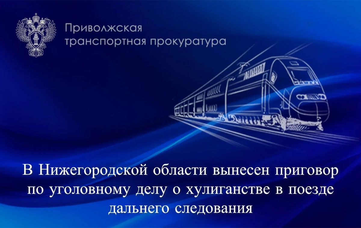 В Нижегородской области вынесен приговор по уголовному делу о хулиганстве в поезде дальнего следования