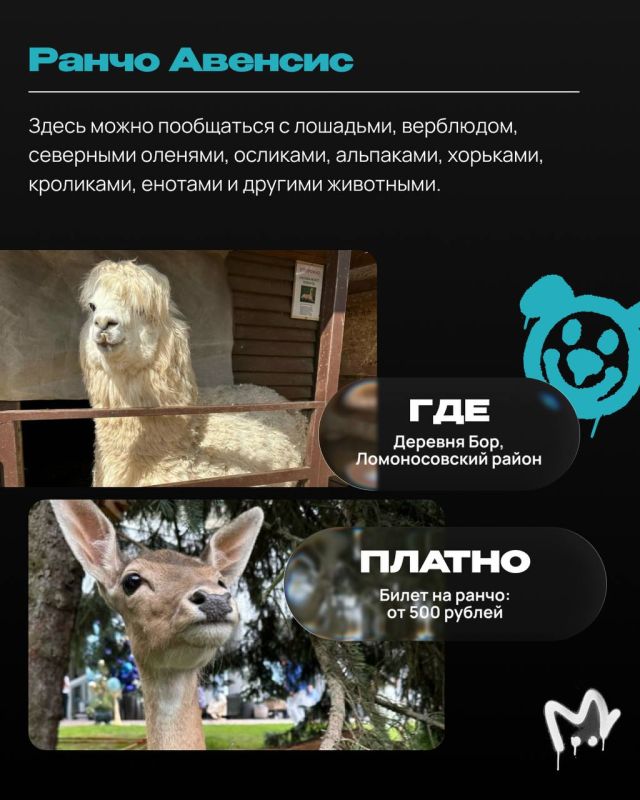 Выбери любого питомца, которого ты захочешь Выбери любого питомца, которого ты захочешь