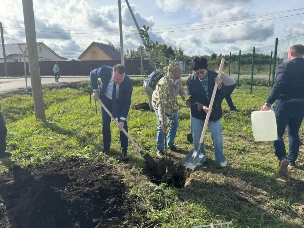 В различных подразделениях Гатчинской больницы с сегодняшнего дня работают 4 избирательных участка В различных подразделениях Гатчинской больницы с сегодняшнего дня работают 4 избирательных участка