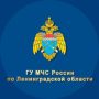 ПРОИСШЕСТВИЕ НА ВОДЕ . Выборгский район, посёлок Рощино, акватория реки Широкая Мужчина 1947 года рождения ушёл на рыбалку и не вернулся