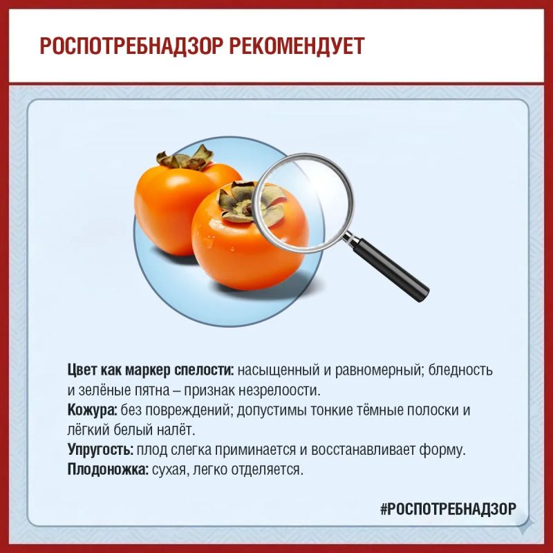 Сезон хурмы в разгаре! Роспотребнадзор делится советами, как выбрать самую сладкую и спелую ягоду (да-да, это ягода) Сезон хурмы в разгаре! Роспотребнадзор делится советами, как выбрать самую сладкую и спелую ягоду (да-да, это ягода)