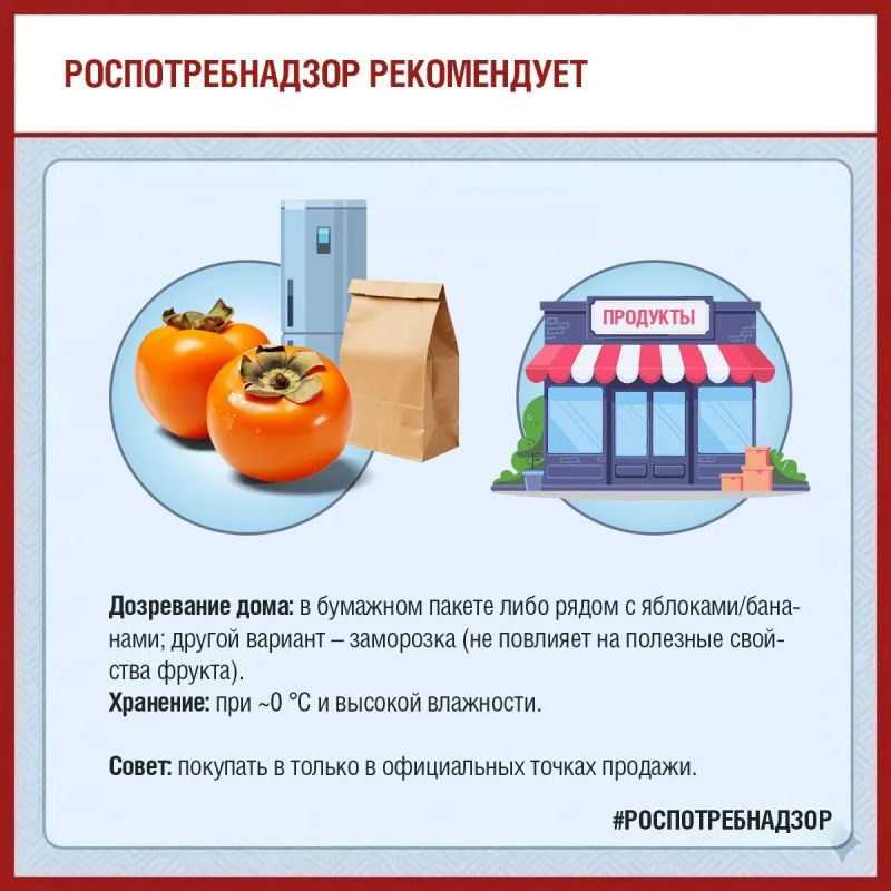Сезон хурмы в разгаре! Роспотребнадзор делится советами, как выбрать самую сладкую и спелую ягоду (да-да, это ягода) Сезон хурмы в разгаре! Роспотребнадзор делится советами, как выбрать самую сладкую и спелую ягоду (да-да, это ягода)