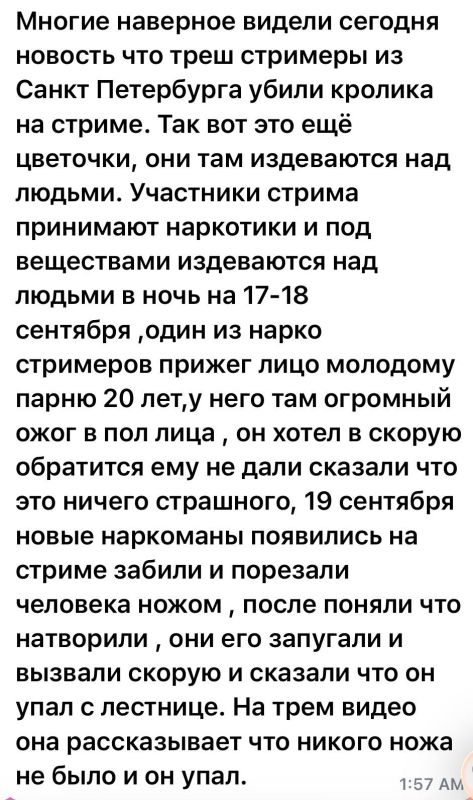 Екатерина Мизулина: Треш-стримеры из Санкт-Петербурга не ограничились убийством кролика Екатерина Мизулина: Треш-стримеры из Санкт-Петербурга не ограничились убийством кролика