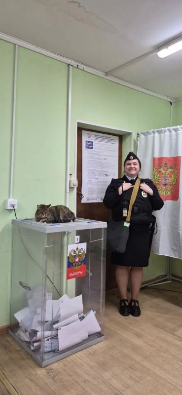 Третий, завершающий день голосования в Ленинградской области! Третий, завершающий день голосования в Ленинградской области!