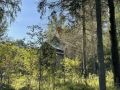 В деревне Лиственка законсервировали деревянную церковь XVI века