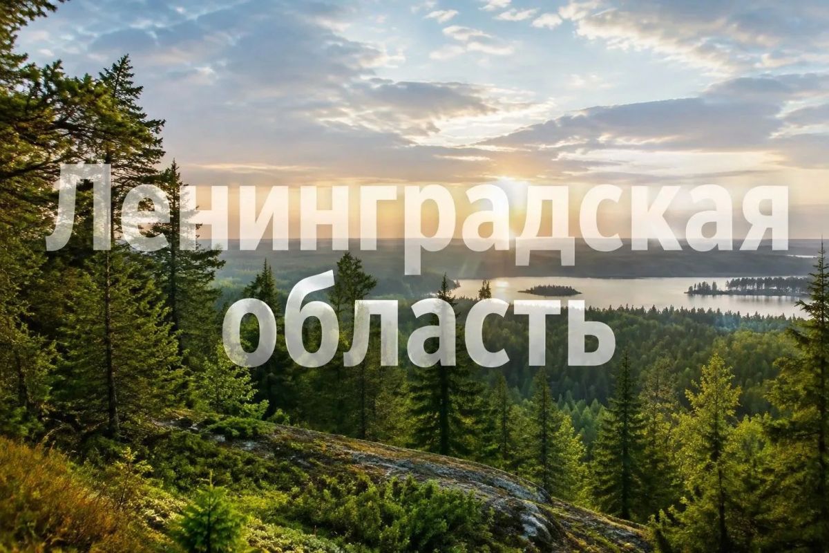 Дорогие работники и ветераны лесной отрасли Ленинградской области!