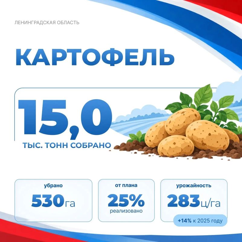 Вести с полей. По информации комитета по АПК Ленобласти на 21 сентября: Вести с полей. По информации комитета по АПК Ленобласти на 21 сентября: