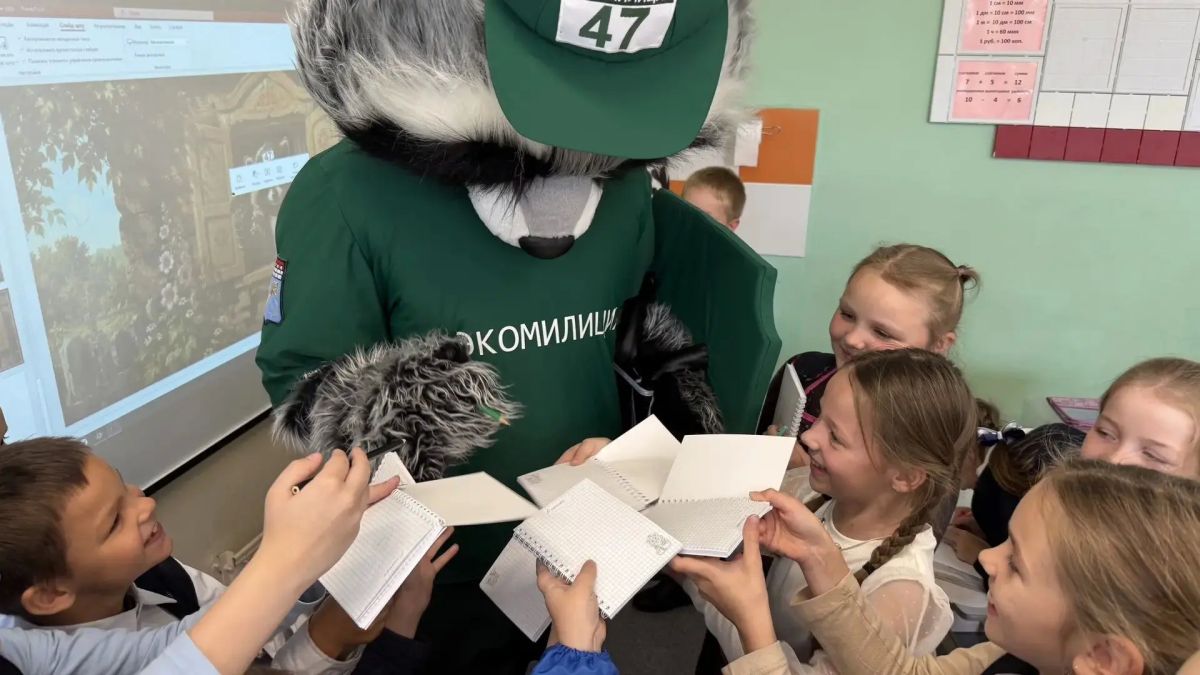 В Лодейнопольской школе № 3 имени Героев Свири открылся лесной экологический класс В Лодейнопольской школе № 3 имени Героев Свири открылся лесной экологический класс