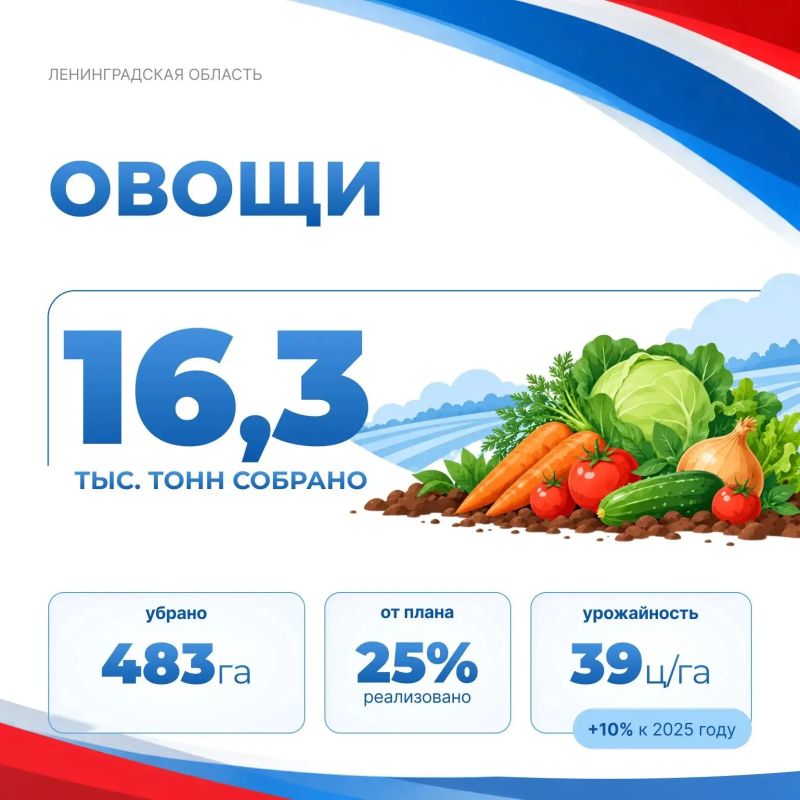 Вести с полей. По информации комитета по АПК Ленобласти на 21 сентября: Вести с полей. По информации комитета по АПК Ленобласти на 21 сентября: