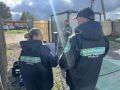������������ �������� ��������������� �������� ������� � 5 � ����� �� ����������� �����