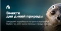 Деловое издание «Ведомости» при поддержке Фонда президентских грантов реализует всероссийскую экологическую инициативу «Вместе для дикой природы»