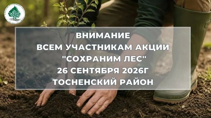 Уже завтра, 26 сентября, в Тосненском районе состоится центральное мероприятие акции «Сохраним лес» в Ленинградской области!