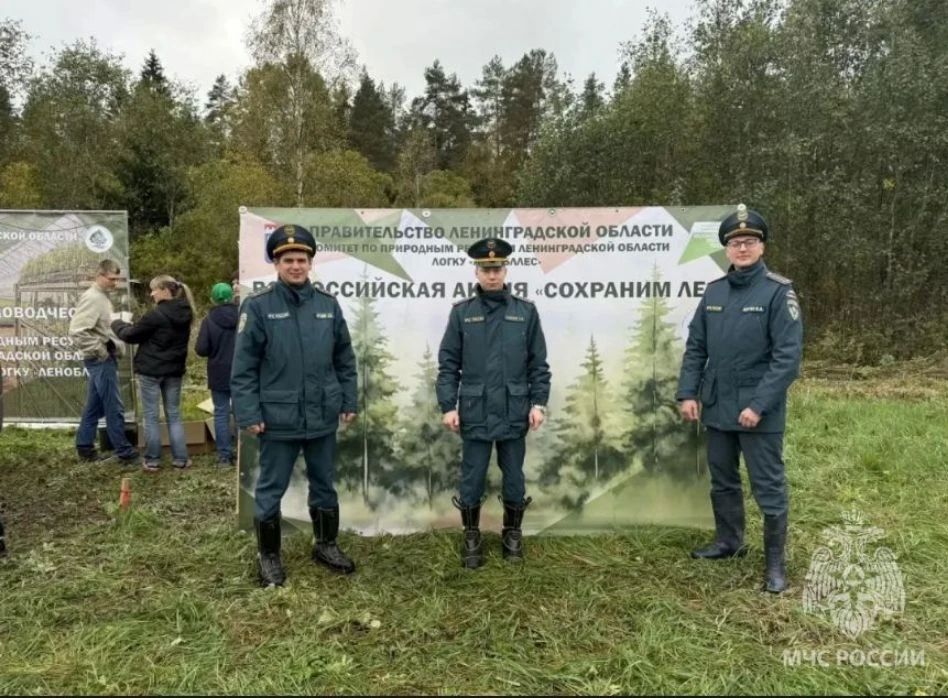 Осенний день посадки леса: вместе восстанавливаем лес Ленинградской области Осенний день посадки леса: вместе восстанавливаем лес Ленинградской области