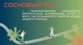 Участники стратегической сессии рассмотрели первые результаты работы над мастер-планом Соснового Бора