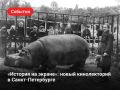 � �����-���������� �������� ������������ �������� �� ������
