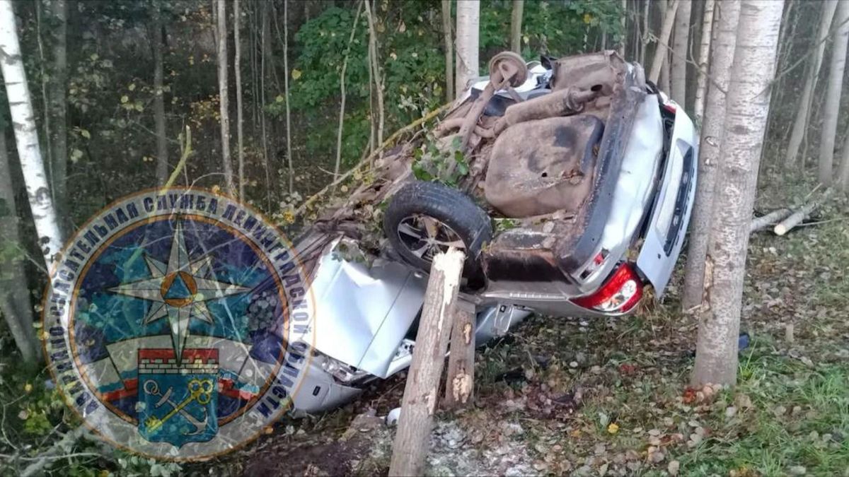 Водитель погиб на трассе «Кола» Водитель погиб на трассе «Кола»