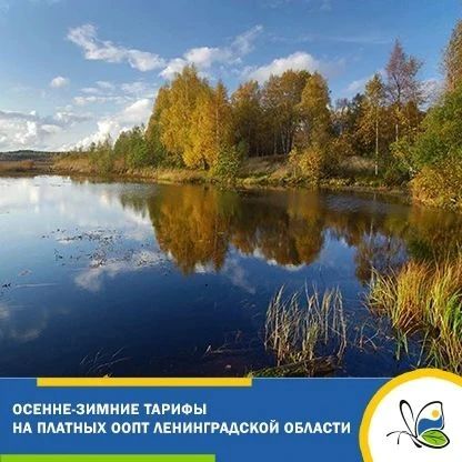 В Ленобласти начал действовать зимний тариф на посещение шести платных особо охраняемых природных территорий