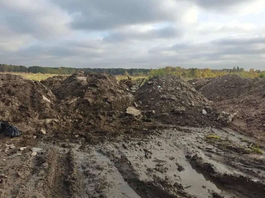 Во Всеволожском районе пресечен незаконный сброс отходов Во Всеволожском районе пресечен незаконный сброс отходов