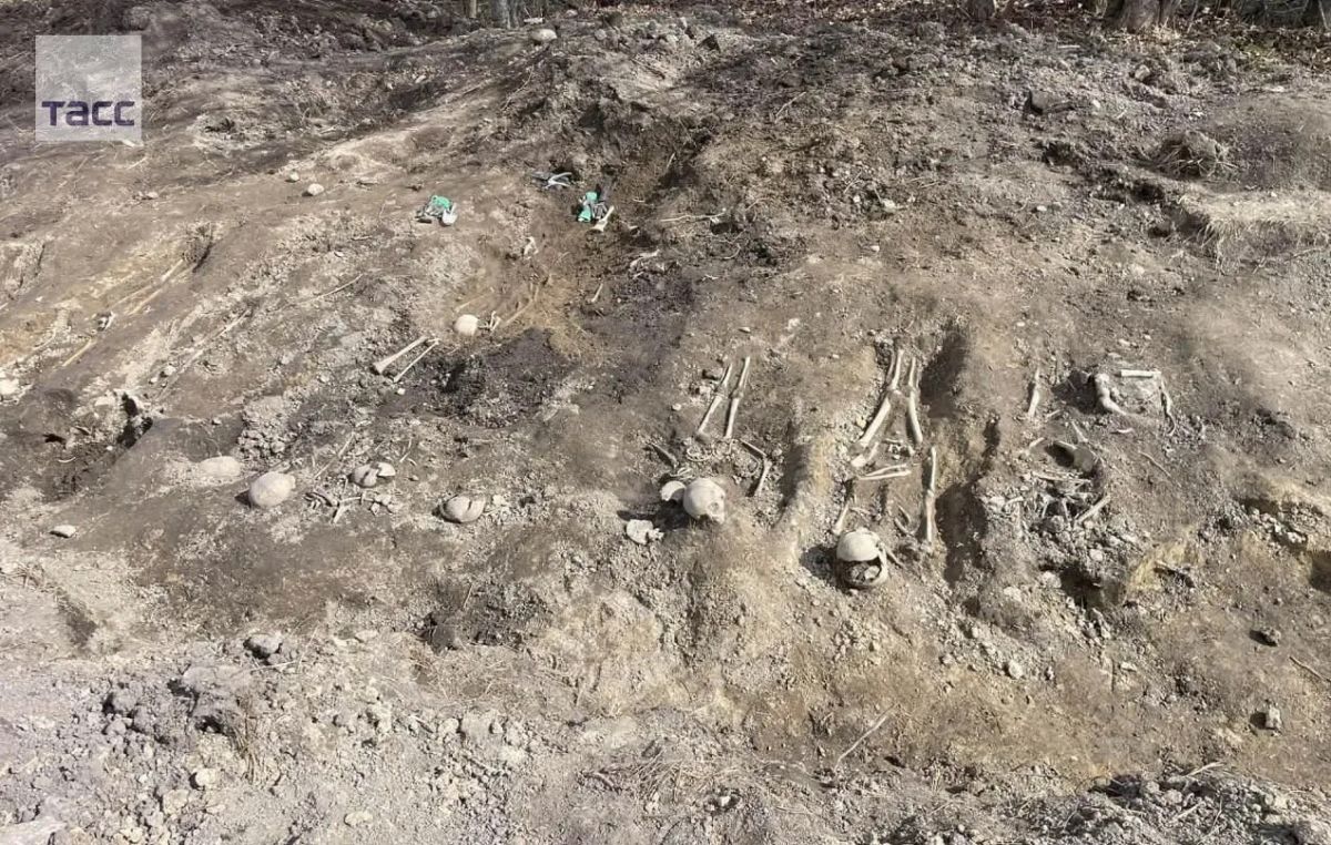 В Ленобласти в деревне Извара Волосовкого района нашли массовое захоронение замученных нацистами красноармейцев, сообщила ТАСС руководитель поискового отряда "Авангард" Лариса Фетисова
