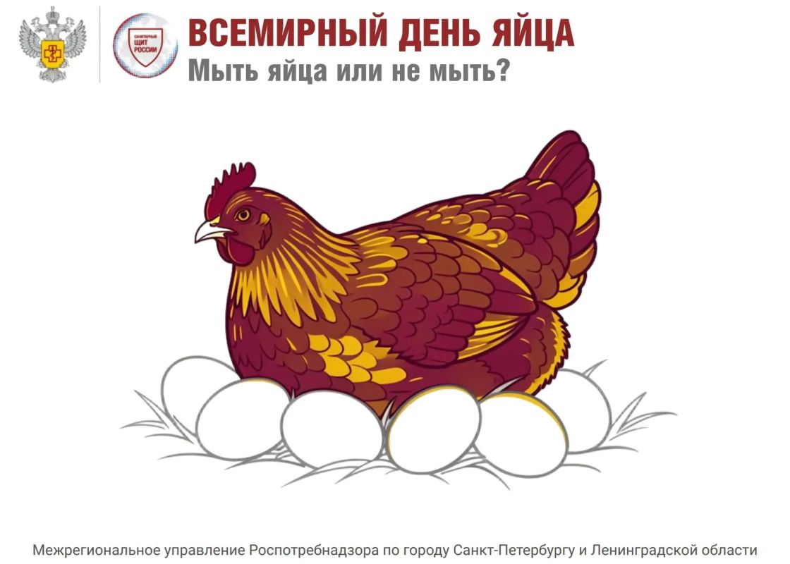 Мыть яйца или не мыть? Разбираемся в вечном споре