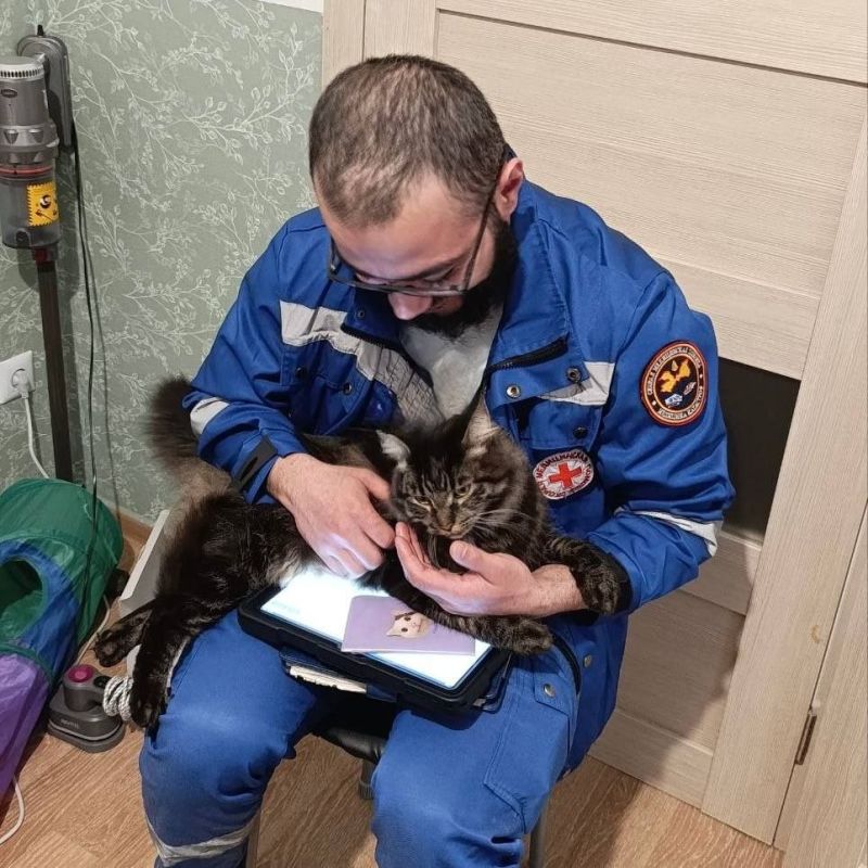 У скорой помощи Ленобласти своя Зверопятница У скорой помощи Ленобласти своя Зверопятница