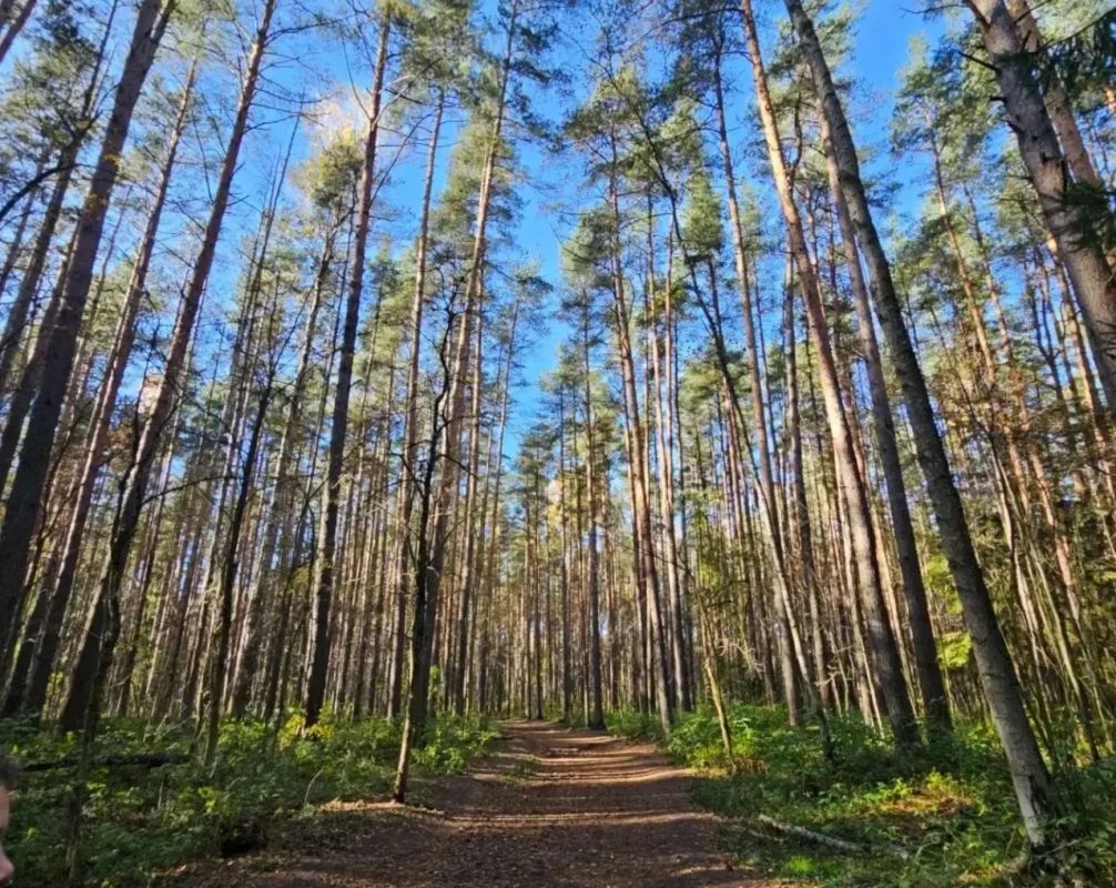 В День работника заповедного дела в Ленинградской области появилась новая особо охраняемая природная территория В День работника заповедного дела в Ленинградской области появилась новая особо охраняемая природная территория