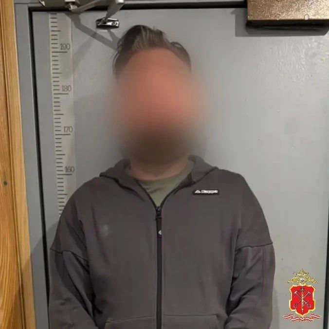 Полицейские Кронштадтского района выявили схему организации незаконной миграции