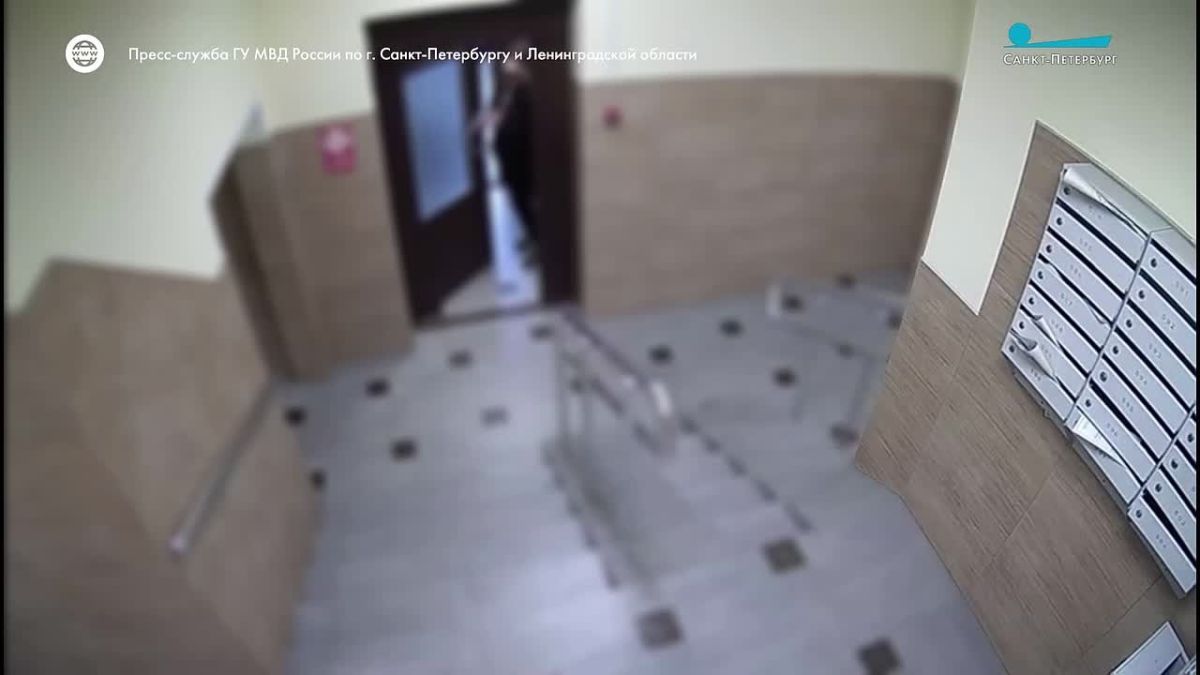 В Кудрово задержали четверых участников разбойного нападения на 43-летнего мужчину