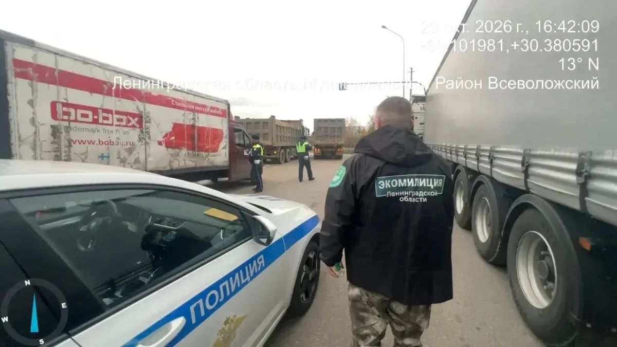 Во Всеволожском районе выявили нарушения при перевозке отходов Во Всеволожском районе выявили нарушения при перевозке отходов
