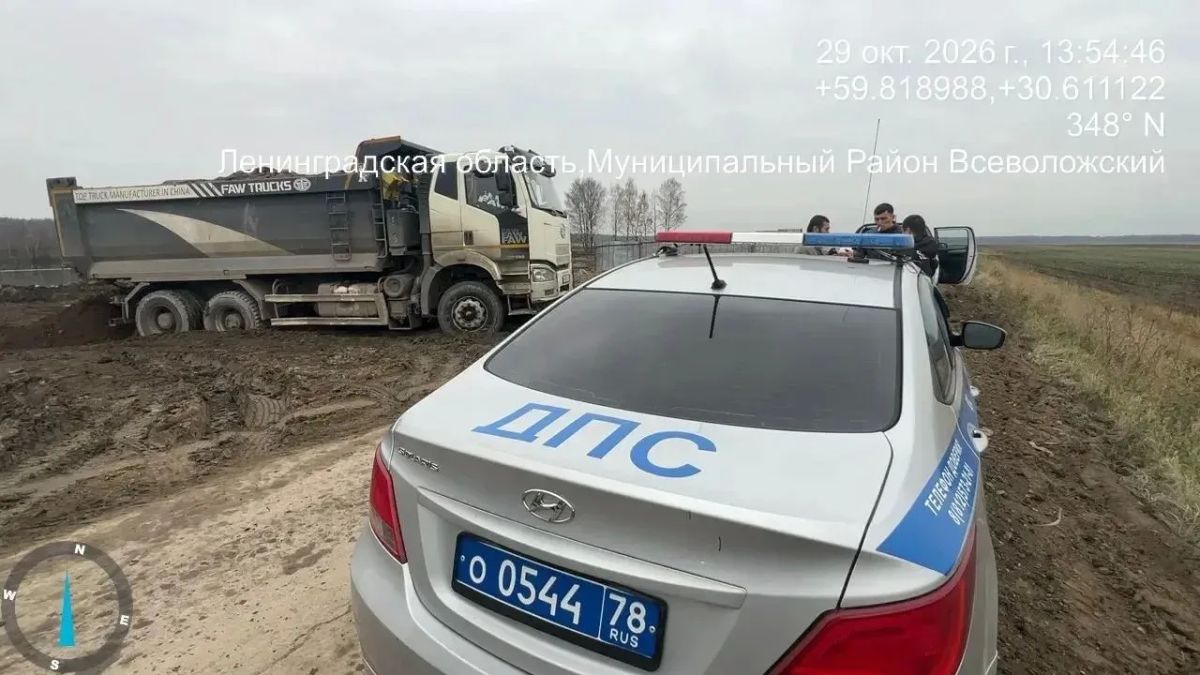Во Всеволожском районе выявили нарушения при перевозке отходов Во Всеволожском районе выявили нарушения при перевозке отходов