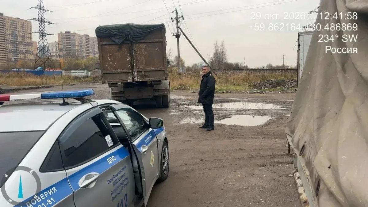 Во Всеволожском районе выявили нарушения при перевозке отходов Во Всеволожском районе выявили нарушения при перевозке отходов
